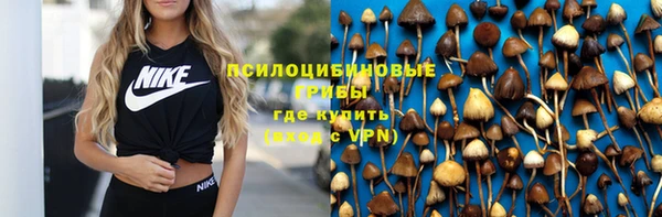 дурь Алзамай