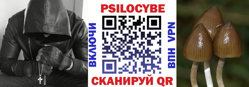 наркота  Кола  Псилоцибиновые грибы Psilocybine cubensis 