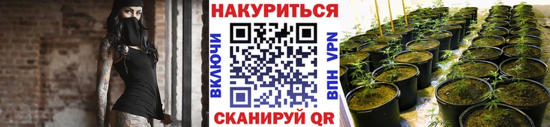 купить наркоту  Кола  Бошки Шишки White Widow 